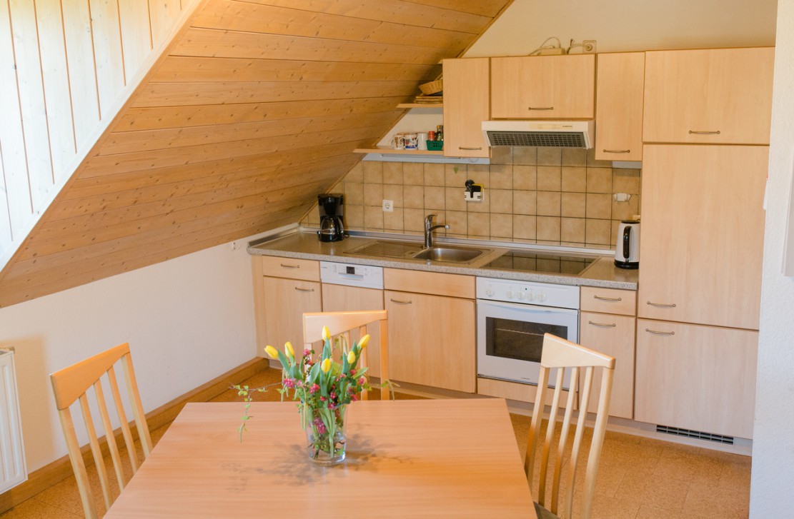 Lindleshof Salbei 10