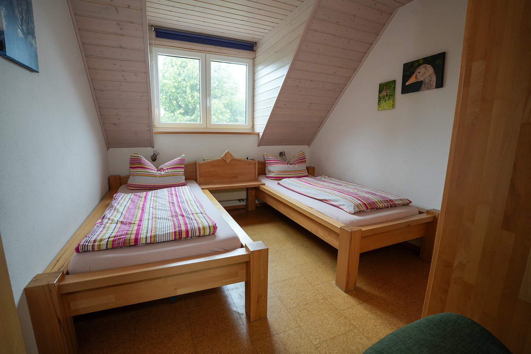 Lindleshof FW Lavendel 1