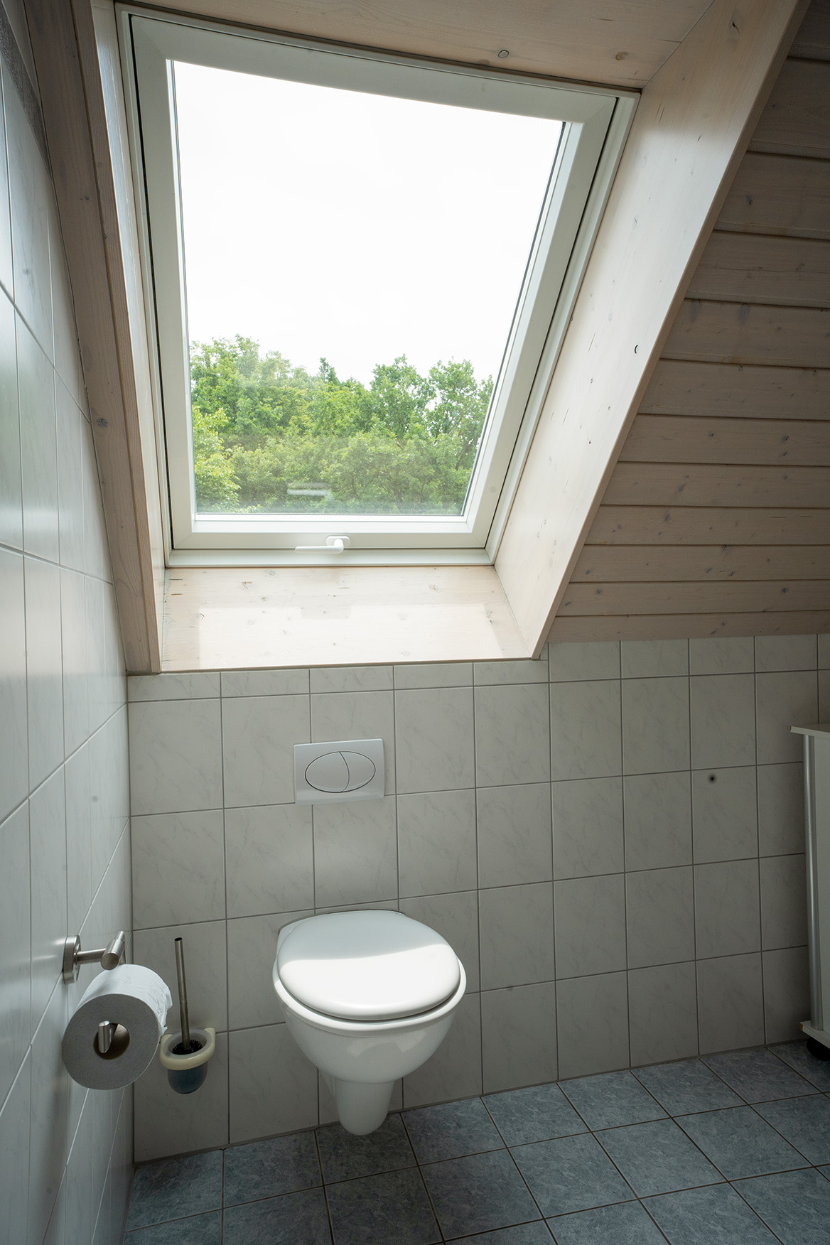 Lindleshof FW Lavendel 13