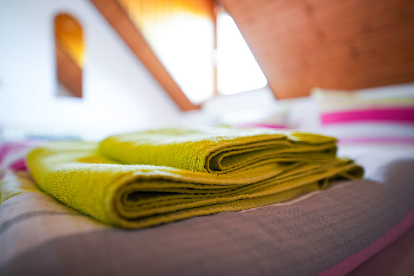 Lindleshof FW Minze 7