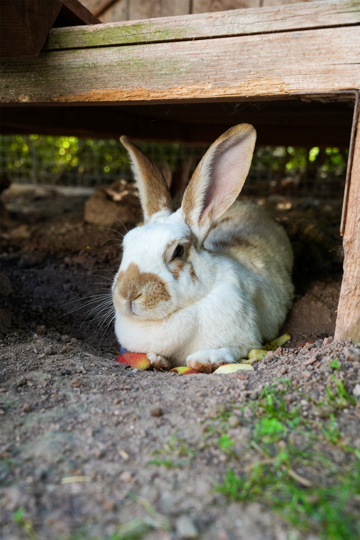 Lindleshof draussen 6